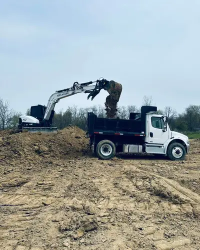 Land clearing project 1