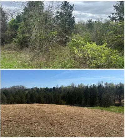 Land clearing project 3