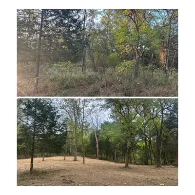 Land clearing project 15