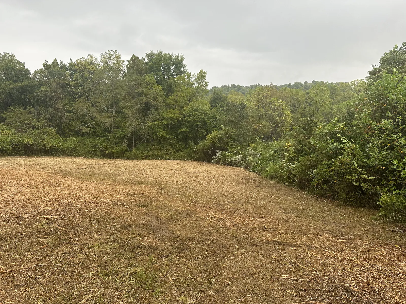After land clearing