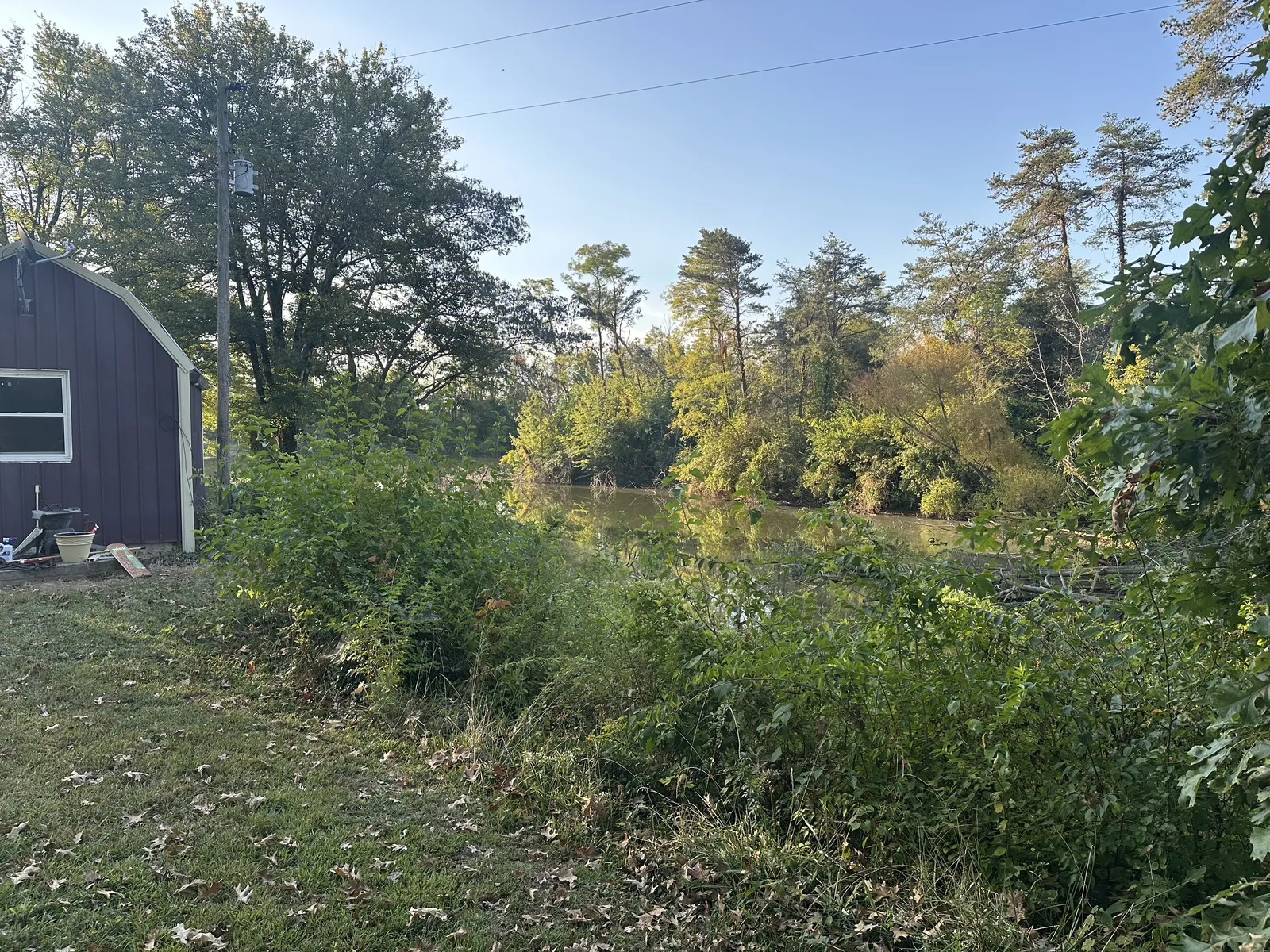 Before land clearing