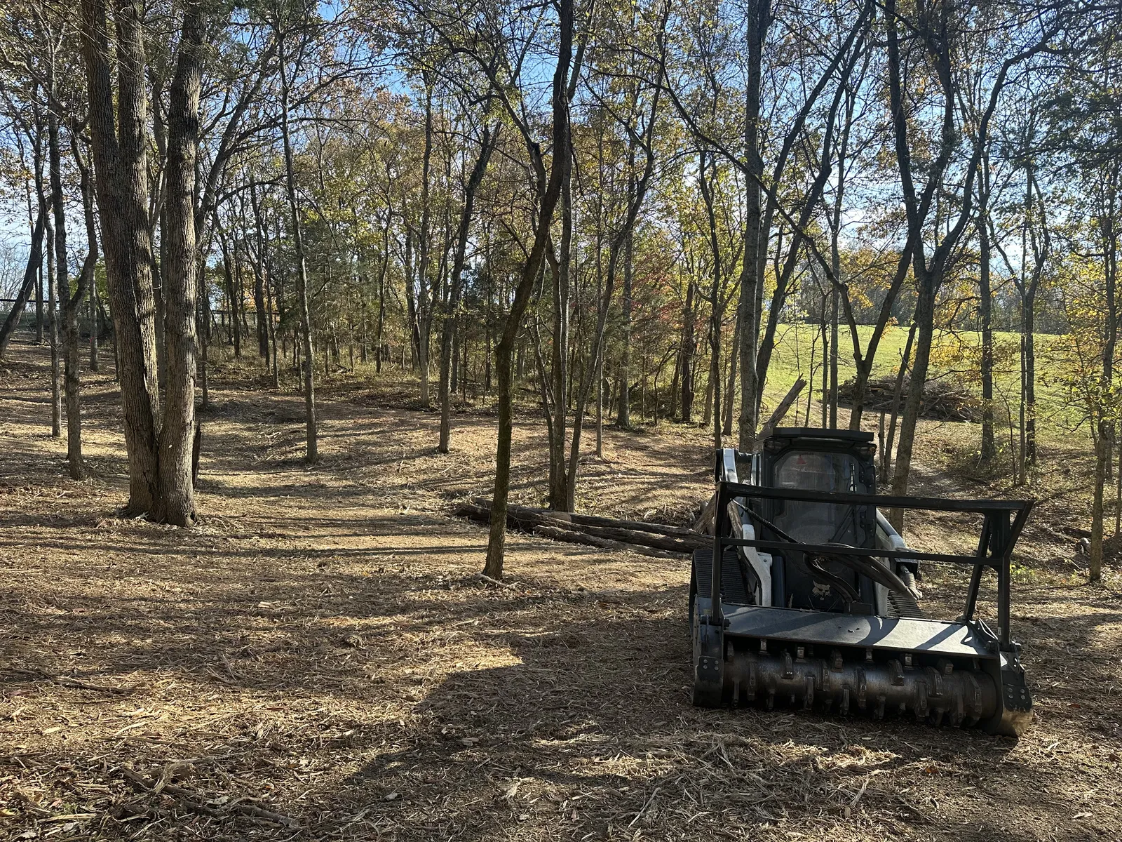 After land clearing