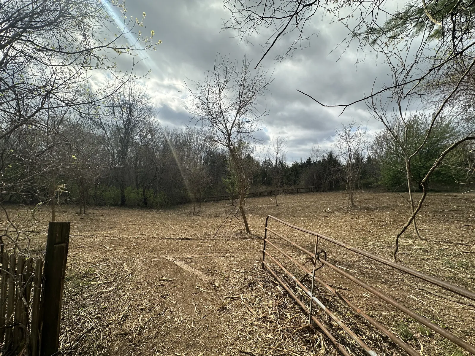 After land clearing