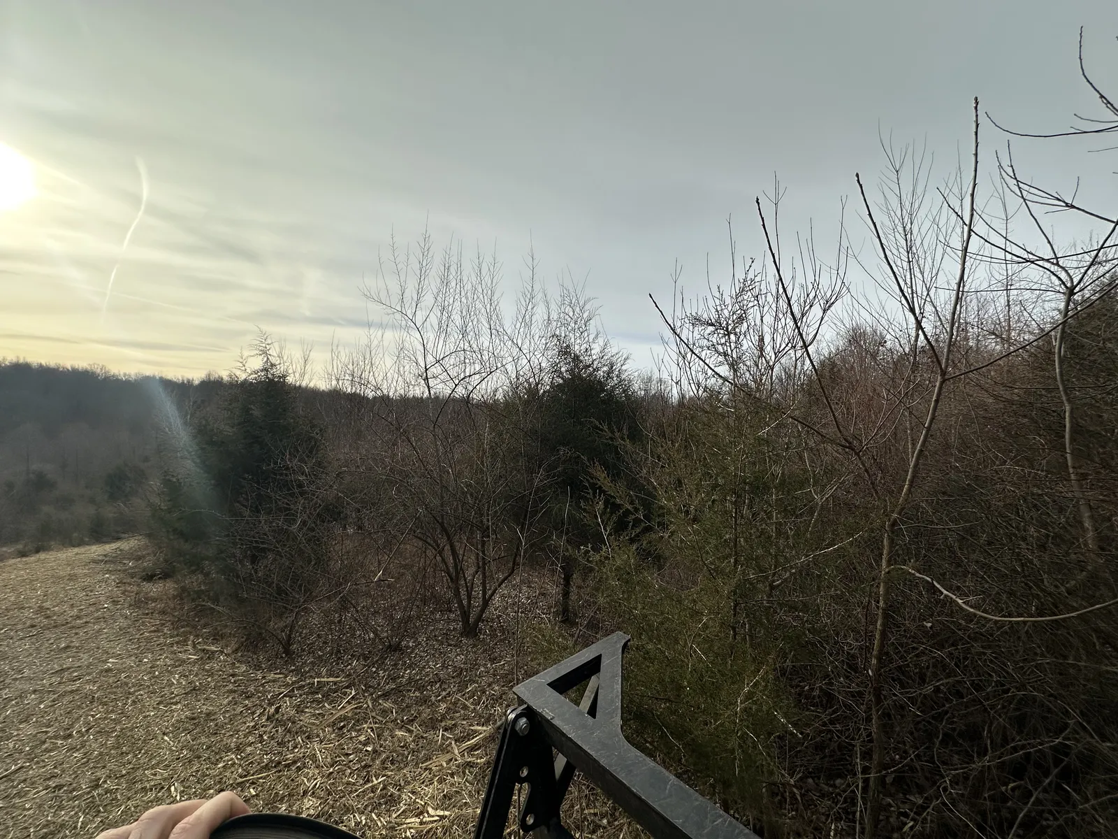 Before land clearing