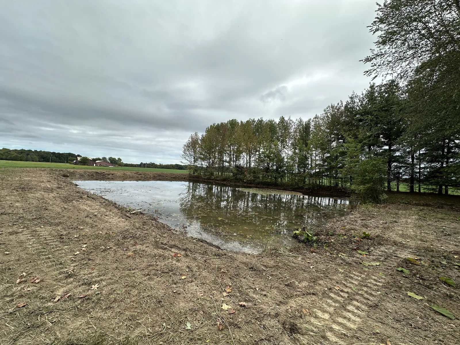 After land clearing