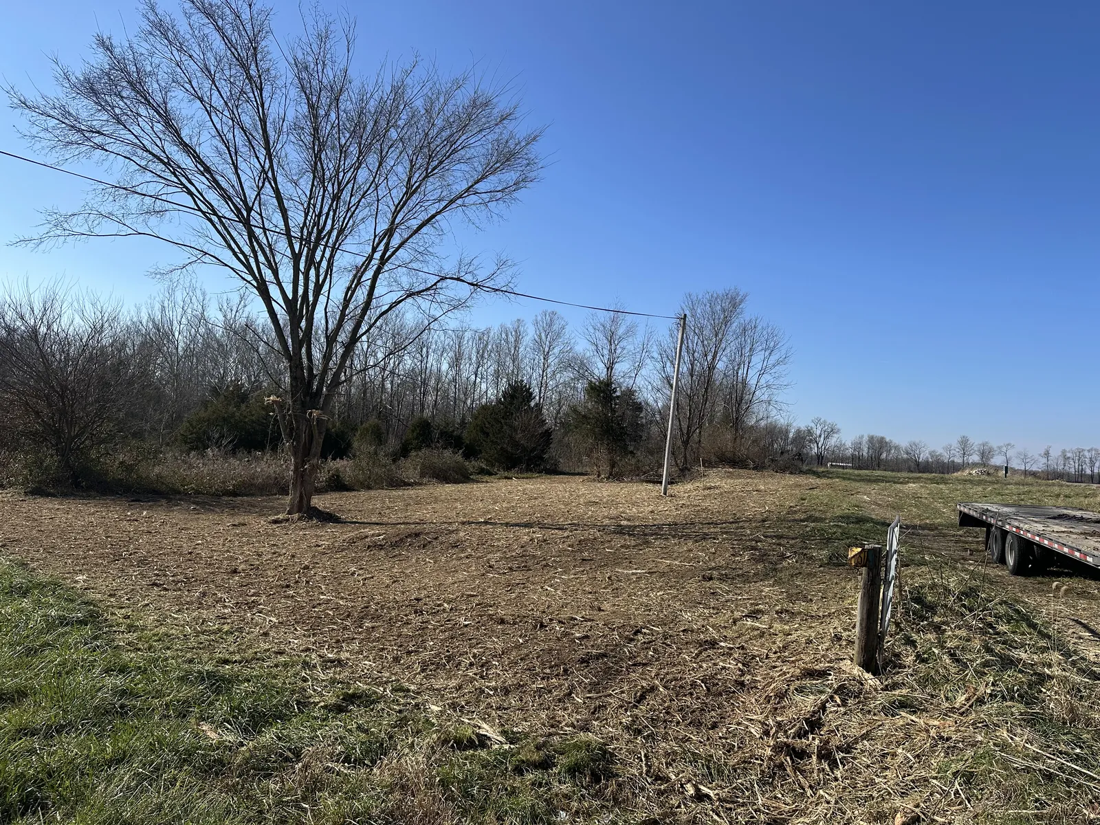 After land clearing