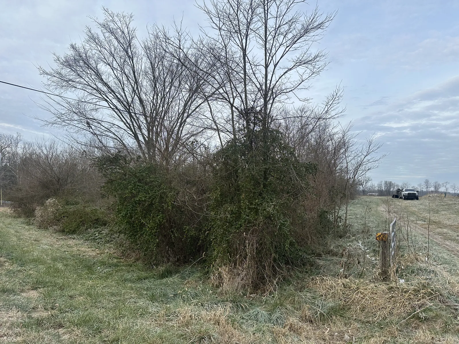Before land clearing